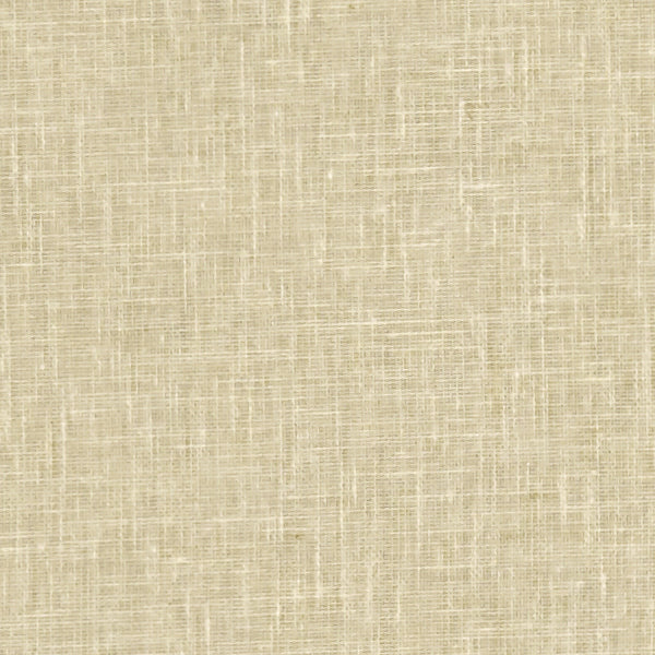 #צבע_41 #צבע_41