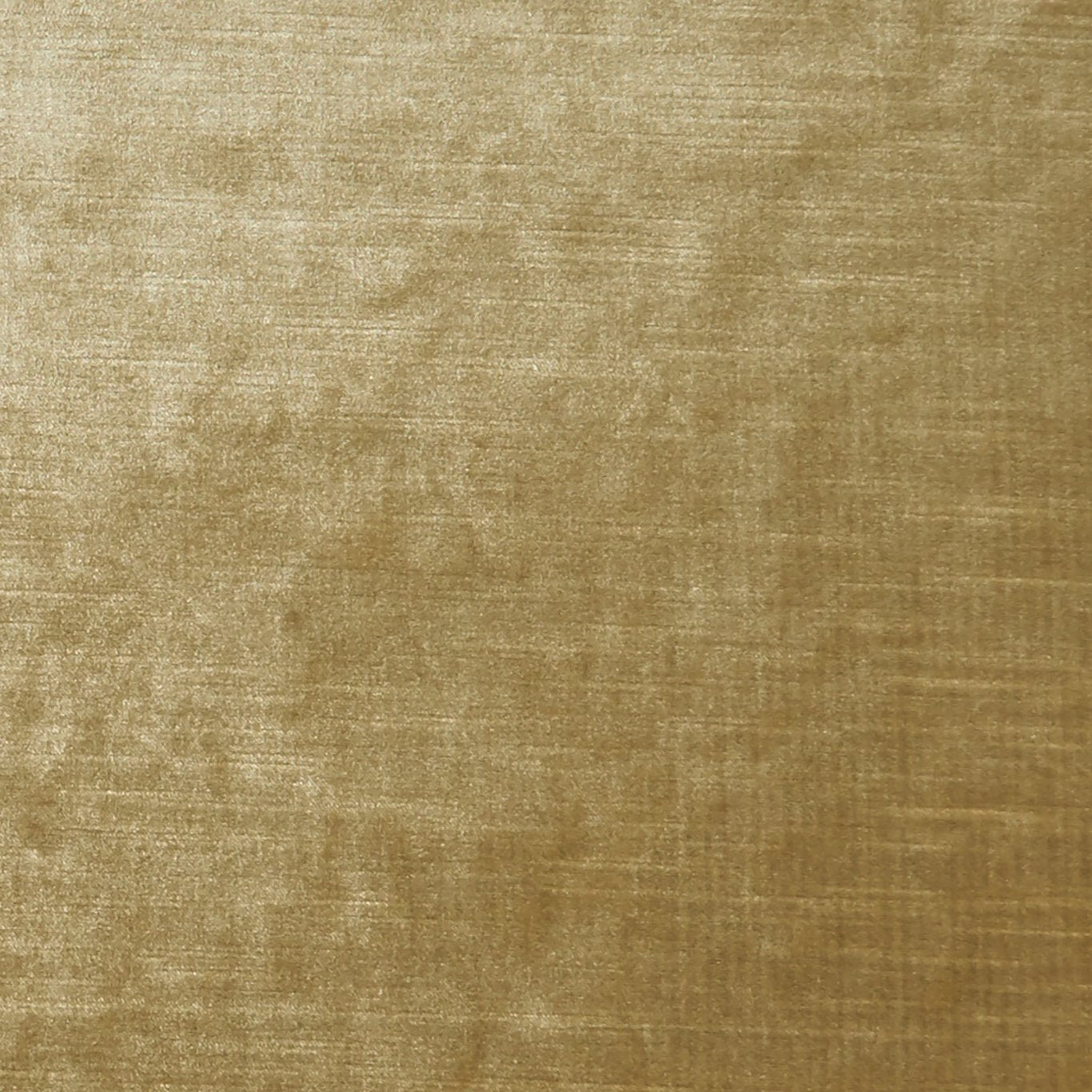 #צבע_35 #צבע_35