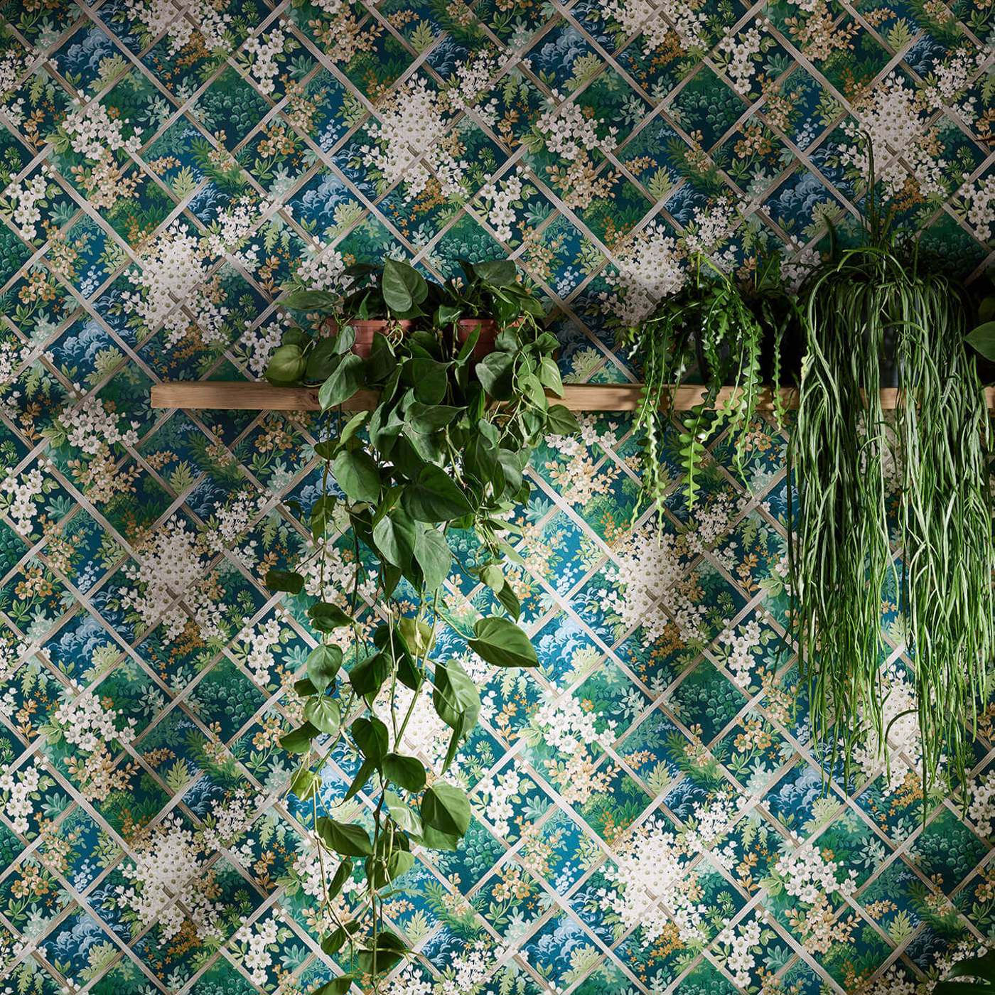 טפט צמחים מטפסים - דגם מיימונט טפט צמחים מטפסים - דגם מיימונט