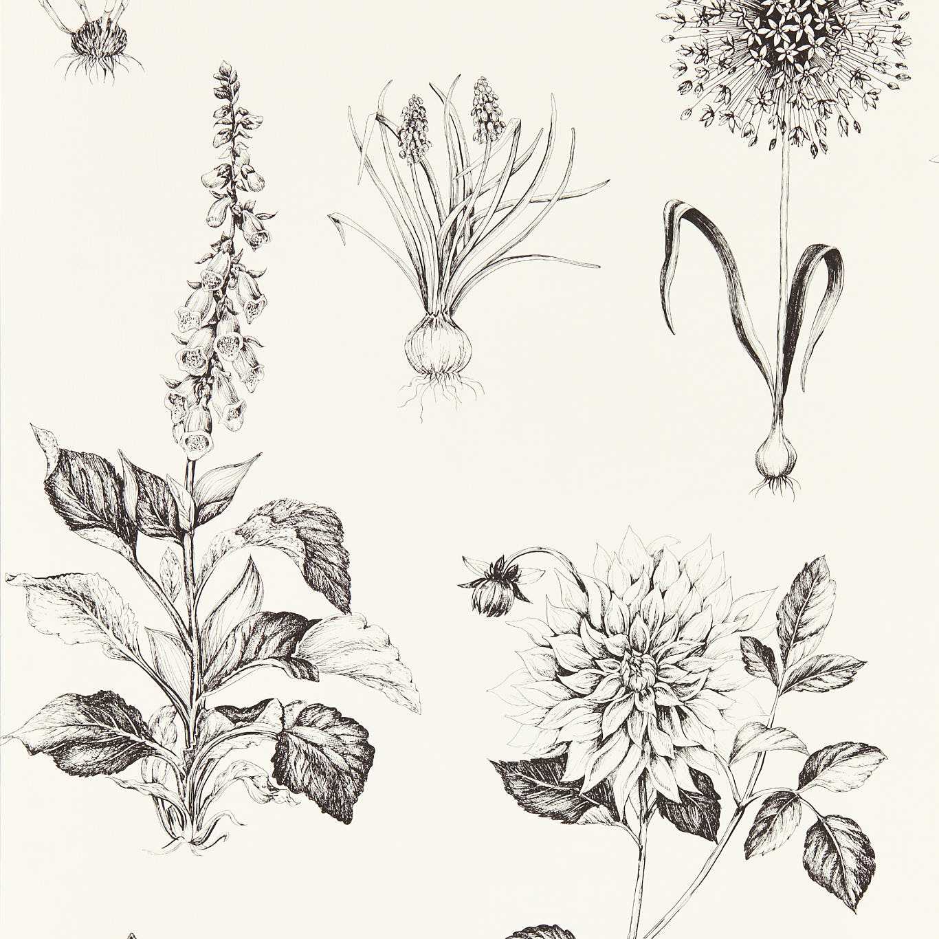 #צבע_02 #צבע_02