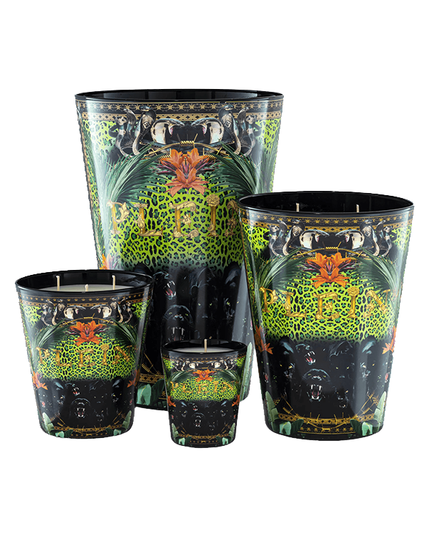 נר ריחני מעוצב בסגנון גונג'ל פראי בגודל S נר ריחני מעוצב בסגנון גונג'ל פראי בגודל S