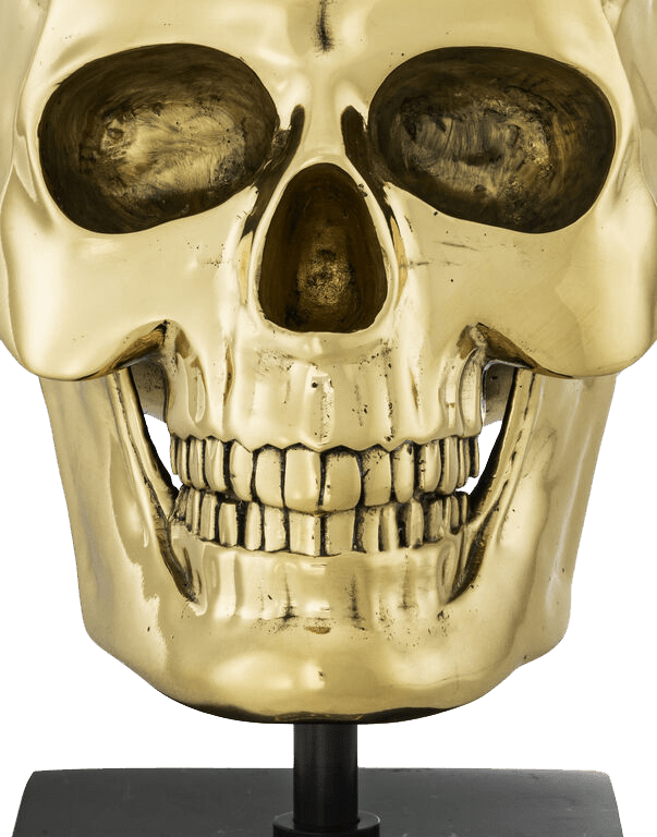 גולגולת מוזהבת דקורטיבית - Rafael Eclat גולגולת מוזהבת דקורטיבית - Rafael Eclat