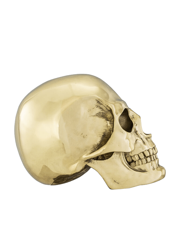 גולגולת נחושת דקורטיבית - Rafael Eclat גולגולת נחושת דקורטיבית - Rafael Eclat