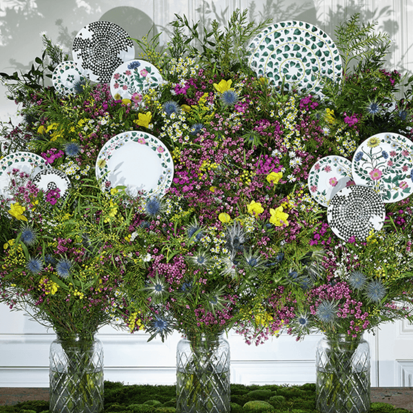 קערת מרק גן הקסם 23 ס"מ - RafaelEc קערת מרק גן הקסם 23 ס"מ - RafaelEc