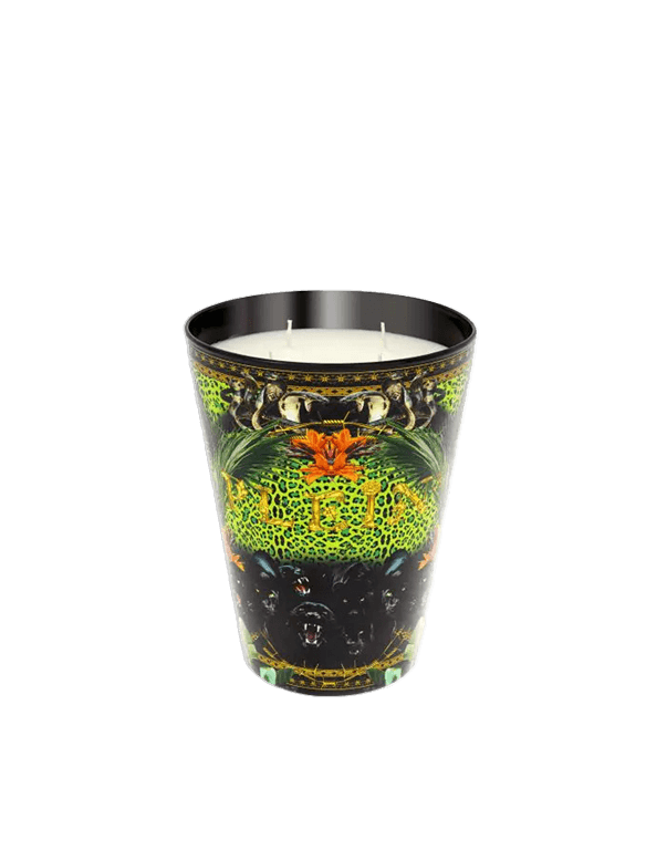 נר ריחני ג'ונגל גודל M - RafaelEc נר ריחני ג'ונגל גודל M - RafaelEc