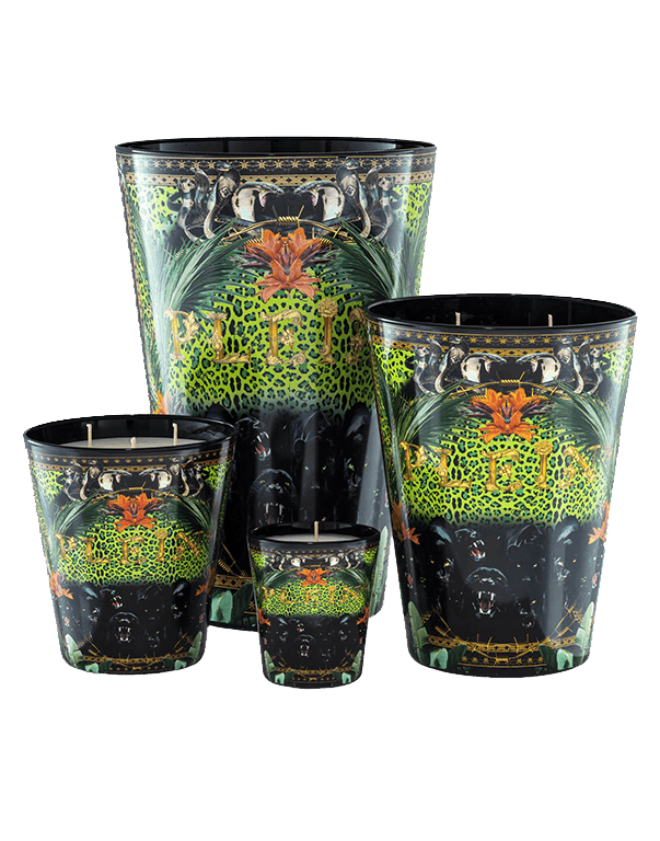 נר ריחני ג'ונגל גודל XL - RafaelEc נר ריחני ג'ונגל גודל XL - RafaelEc