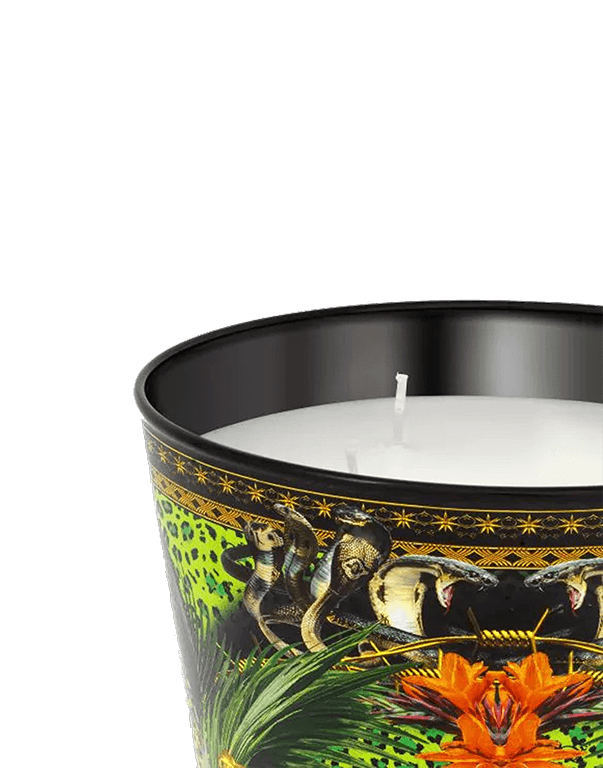נר ריחני ג'ונגל גודל XL - RafaelEc נר ריחני ג'ונגל גודל XL - RafaelEc