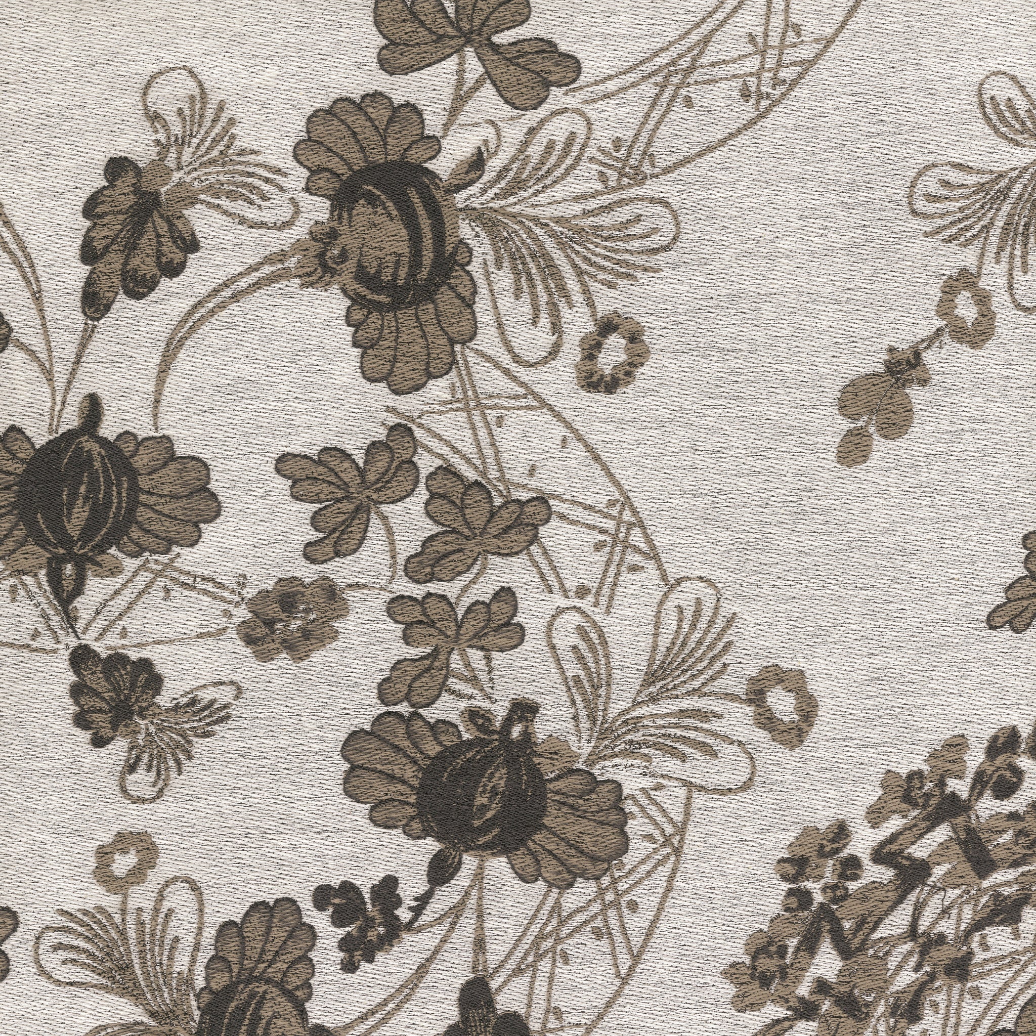 #בד_albus #בד_albus