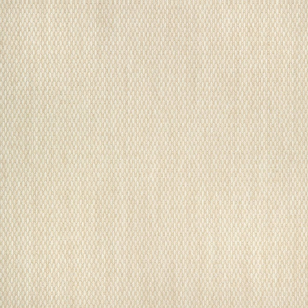 #צבע_40421-0002 FLAX