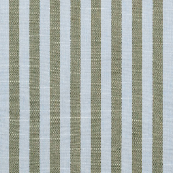 #צבע_40606-0002 Aloe