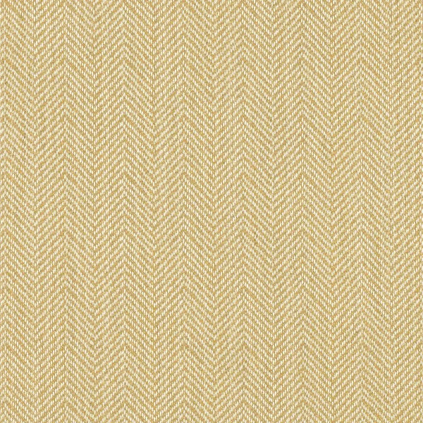 #צבע_44157-0004 Oat