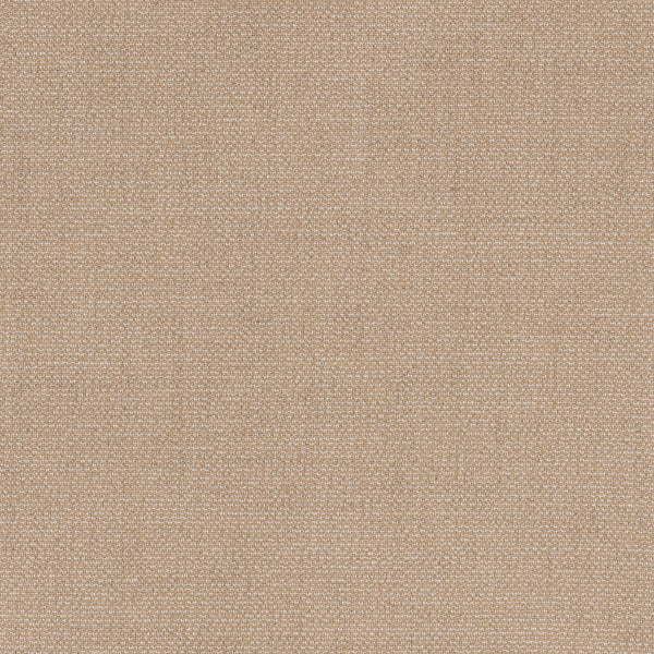 #צבע_48145-0002 Camel