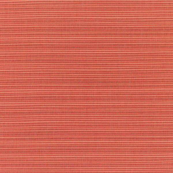 #צבע_8053-0000 Papaya