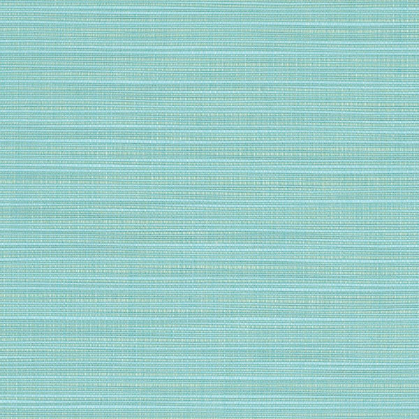 #צבע_8067-0000 Celeste