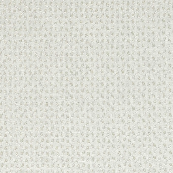 #צבע_CCF0876-04 Ivory