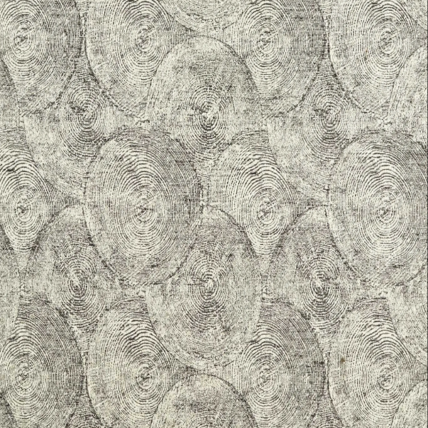 #צבע_CCF0879-04 Charcoal