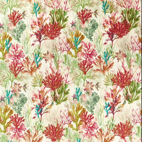 #צבע_CCF0889-01 Coral