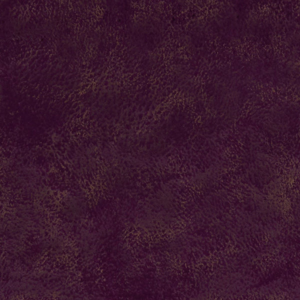 #צבע_F1296-01 AUBERGINE