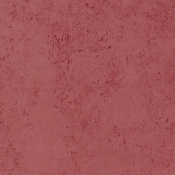#צבע_F1296-18 BLUSH