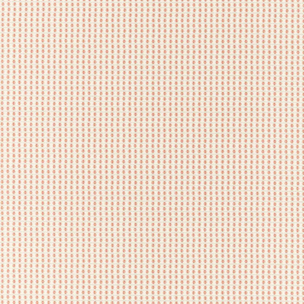 #צבע_F1638-01 BLUSH