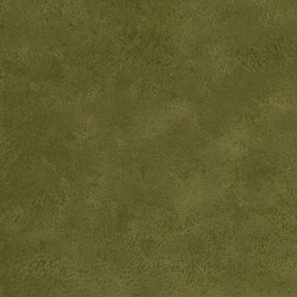 #צבע_F1296-11 OLIVE